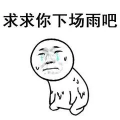 宁津全城求雨别急雷阵雨今天到货