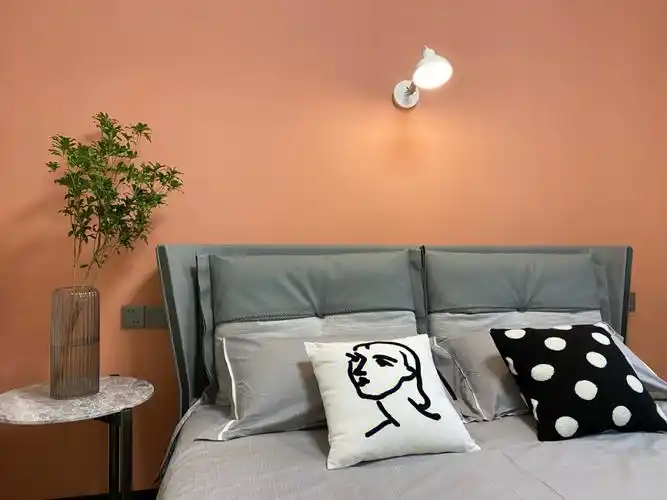 墙面颜色确实视觉上效果会截然不同预算足够可以玩材质质感预算有限