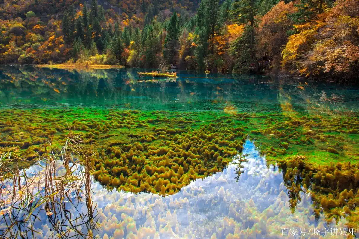 中国山水两绝:张家界和九寨沟,你觉得谁更美?