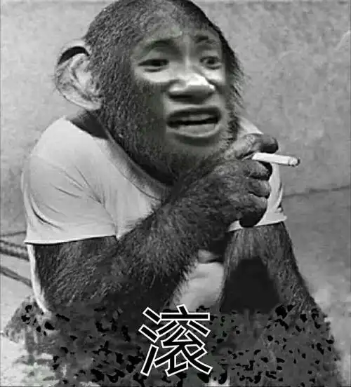 "滚"的搜索结果_一起斗图啦表情包_斗图狗