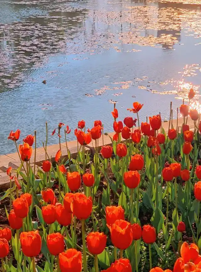 一些超美超治愈的朋友圈背景图