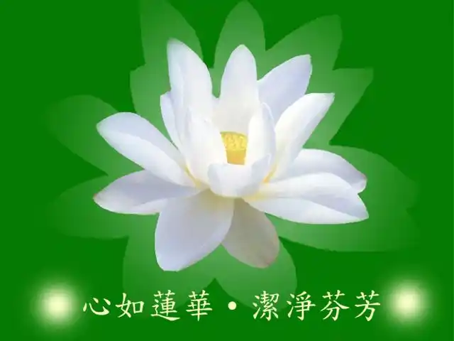 佛教知识:莲花在佛教表示什么?(图)