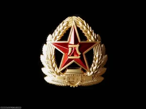 展开全部 目前解放军军服的帽徽是07式帽徽