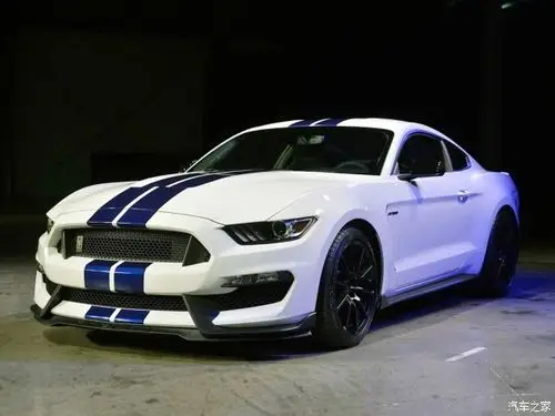 福特(进口) mustang 2015款 shelby gt350