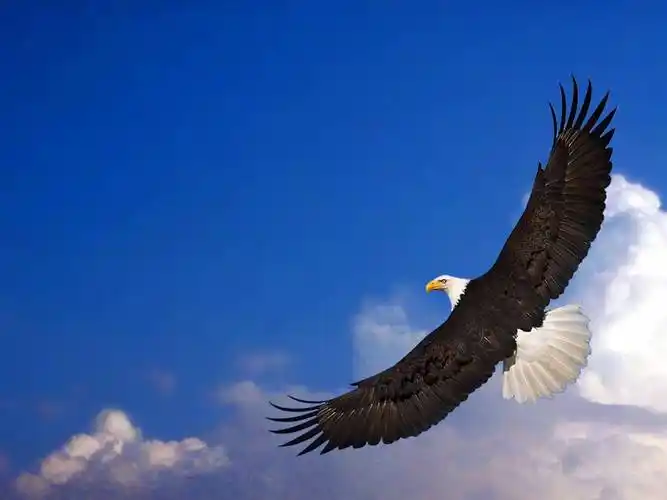 涂鑫茂:选择大于努力 心态决定成败 技术成就盈亏