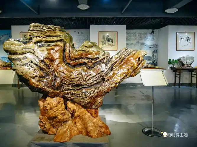 漳州东南花都太浪漫,农业馆,奇石馆涨知识,还能入住温泉酒店!