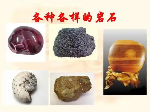 1《各种各样的岩石》ppt课件[实用]