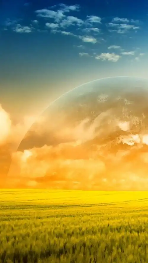 金色麦田h5背景