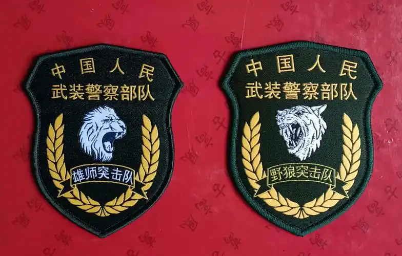 毛启国:武警部队16式臂章鉴赏