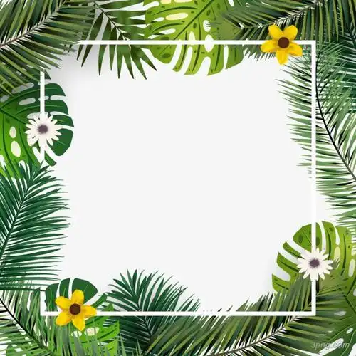 矢量夏日背景png素材透明免抠图片-装饰效果