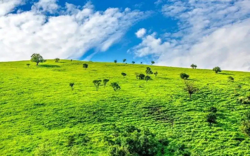 风景壁纸 > 正文  本文 绿色护眼清新壁纸_唯美大自然风景由小琴编辑