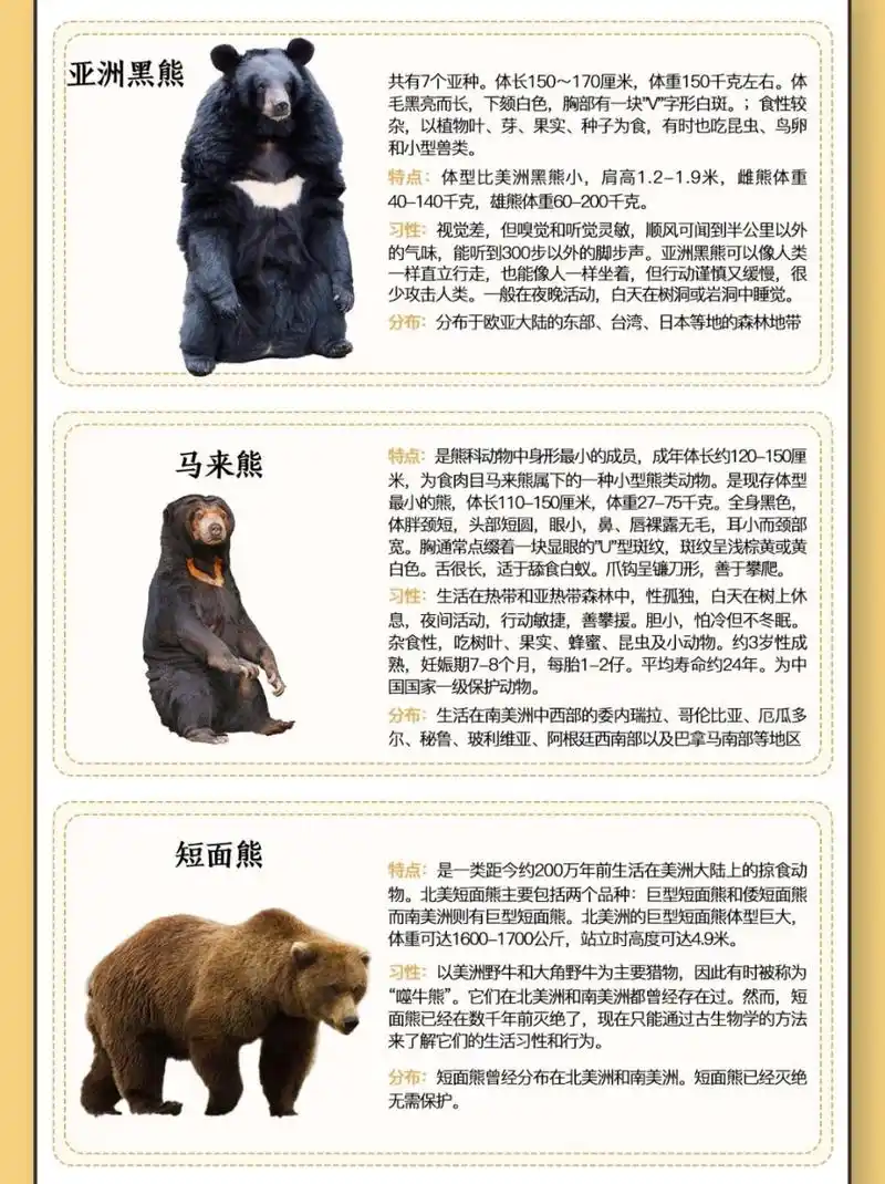 十大熊类图鉴大赏  熊:哺乳动物家族中的食肉目成员  熊,这一生物分类