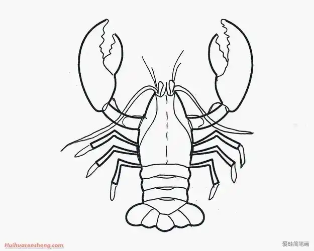 龙虾简笔画