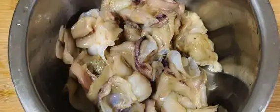 鱿鱼脖是什么部位