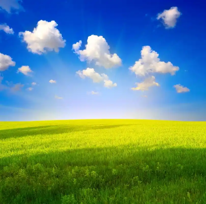 绿草蓝天,绿草蓝天