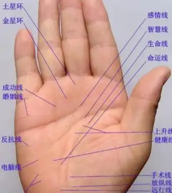 男人的左手的手相图解详细介绍最全男人手相图解