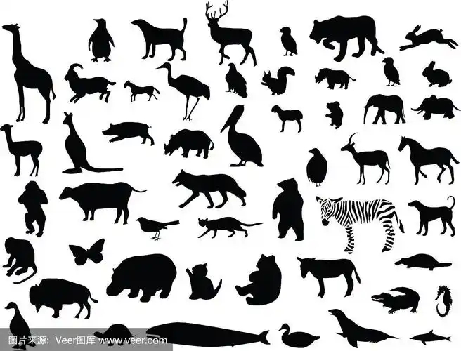 动物剪影集