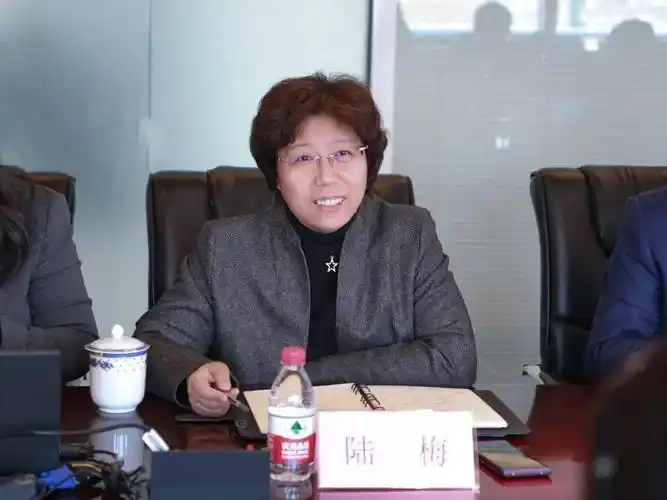 中检集团副总裁,中心主任陆梅会见并表示欢迎,中心国际合作部,现代