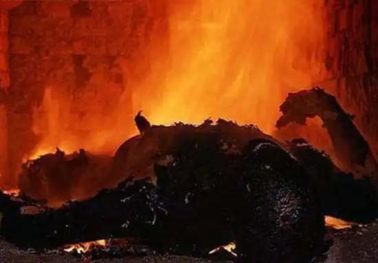 火葬场员工的真实心声 冷酷却真实