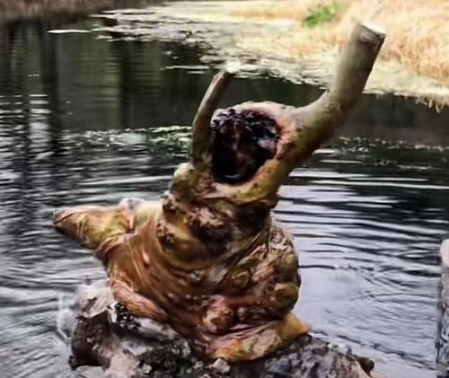 太行山黄金朴树相思树盆景盆栽