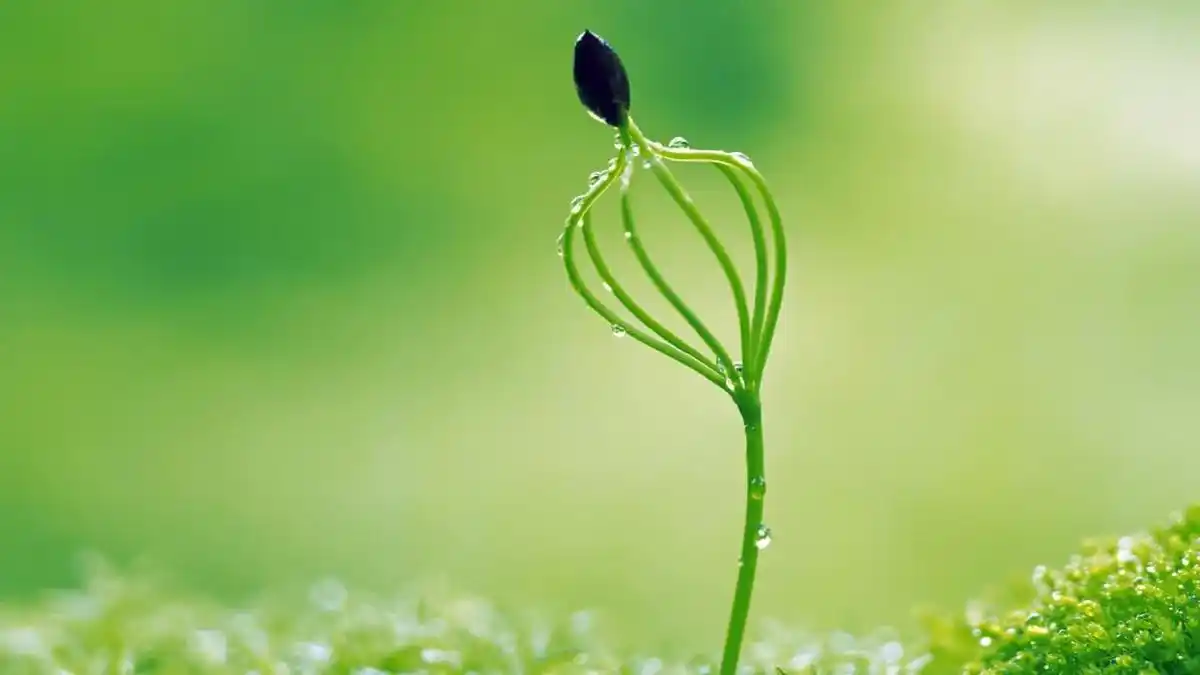 两口子搭伙过日子,老公给老婆发工资,生活也就这样凑合过了