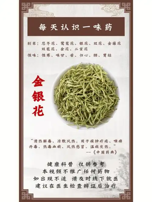 金银花功效与作用禁忌_金银花菊花茶功效与作用及禁忌_金银花泡水喝的