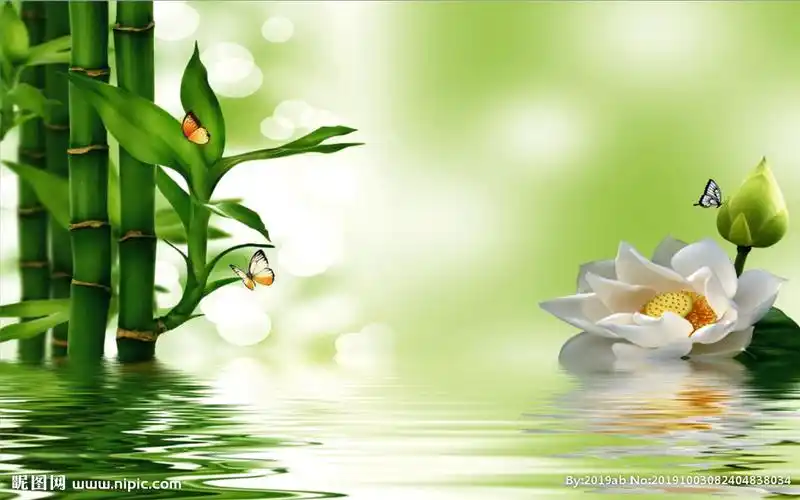 荷花竹子蝴蝶背景墙图片