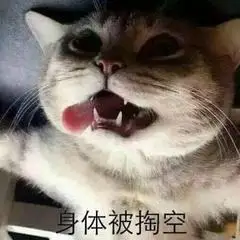 身体被掏空gif猫咪gif累gif躺地上gif吐舌头gif