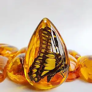 琥珀动物标本吊坠项链图片