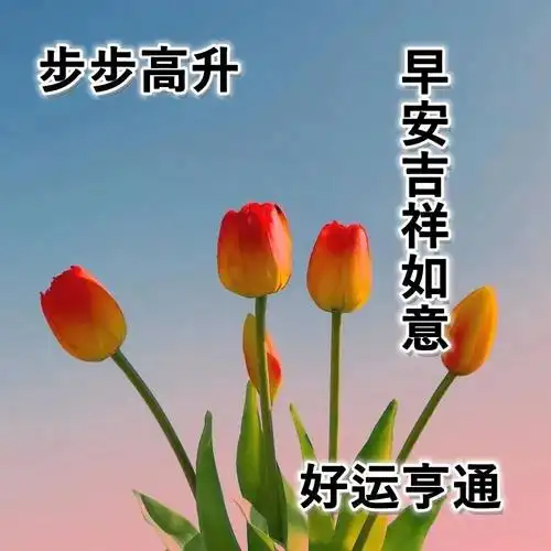 夏季每日早安祝福图片2021 朋友圈温馨早上好图片大全