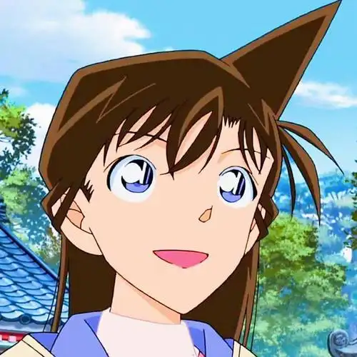 毛利兰自截头像