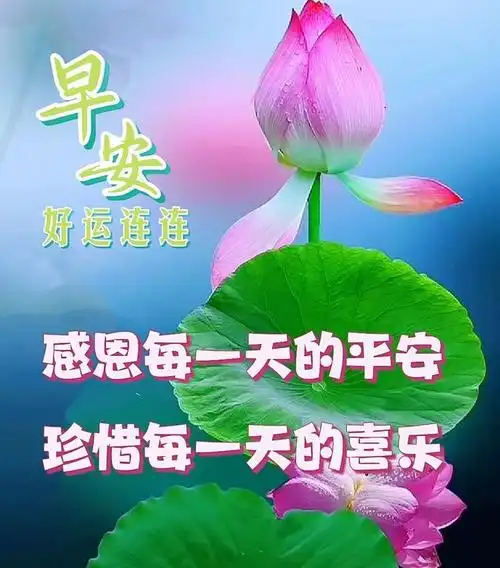2024最新版早安问候语图片大全今天早安祝福语温馨