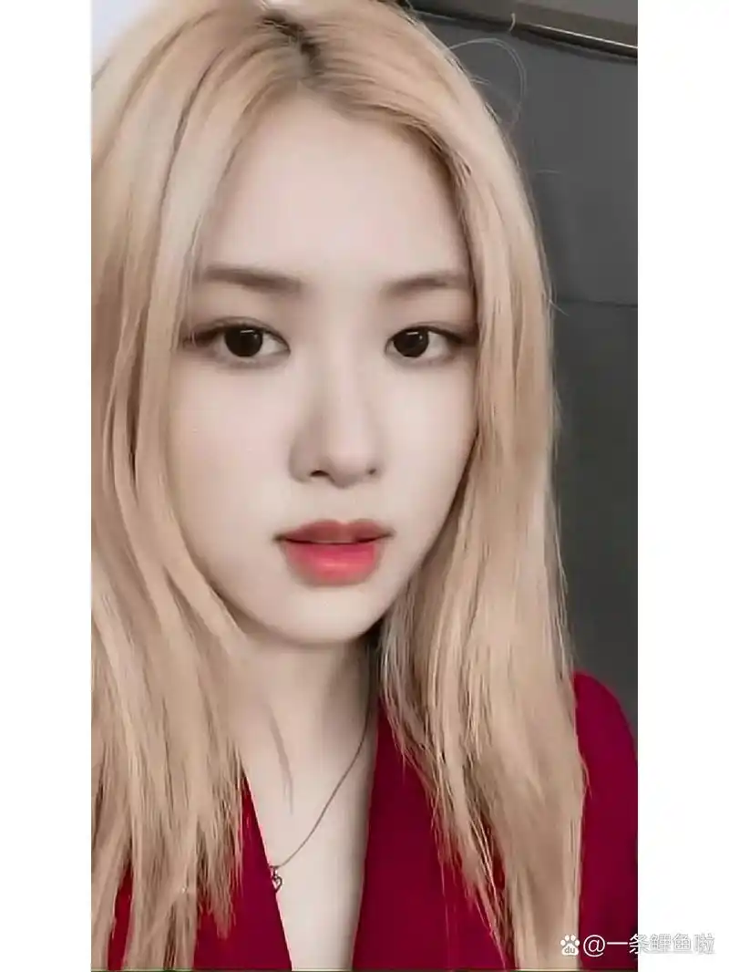 朴彩英rose高清壁纸