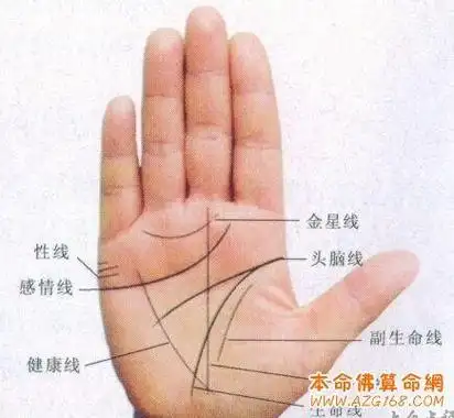 怎么就能看出手相中有贵人的命运呢(贵人手相三峰隆起),手纹对于人类