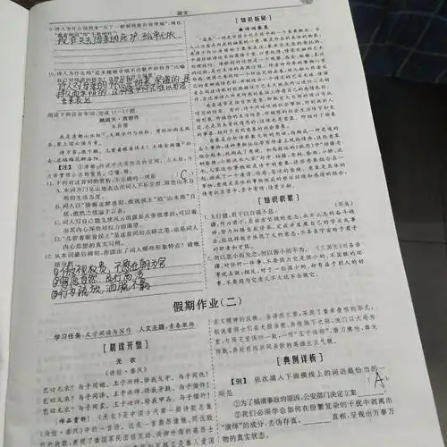 高一十班王晨曦的语文作业
