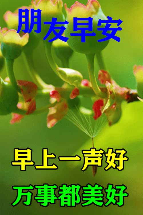 8张最新漂亮早上好问候动态鲜花图片带字 创意唯美夏日早上好问候动画