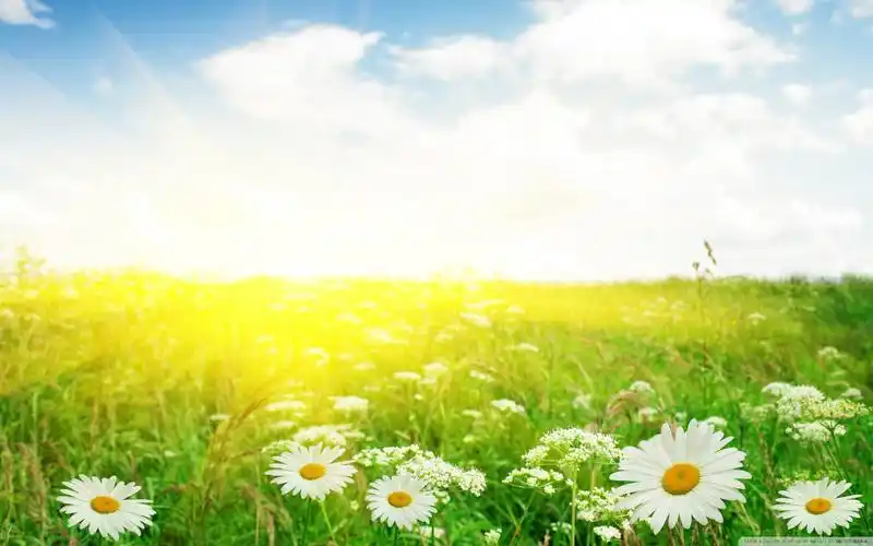 安卓(android)唯美 意境 大图高清手机壁纸免费下载,安心市场-用安卓