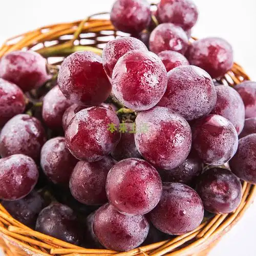 秘鲁进口红提1kg【行情 报价 价格 评测 特价 折扣】-本来生活网