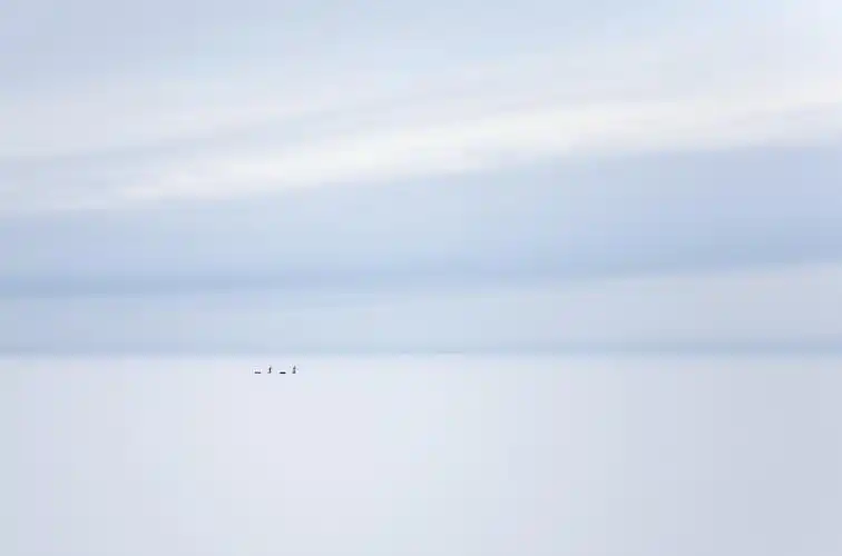 简洁电脑桌面背景图片