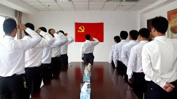 入党宣誓举哪个手