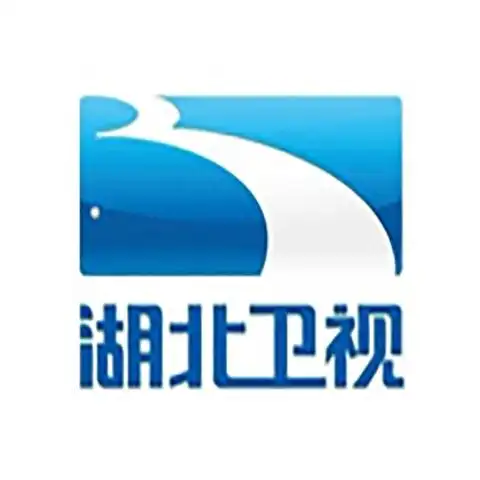 湖北卫视广告价格,湖北电视台广告投放