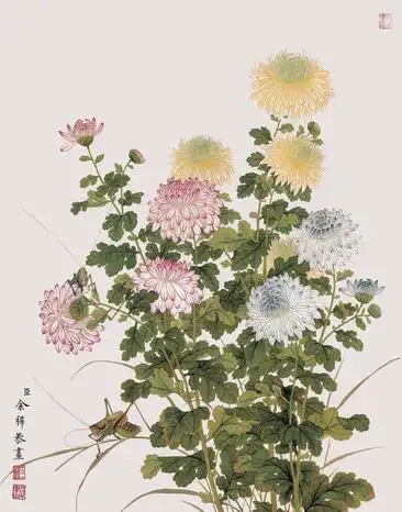 菊花装饰画1