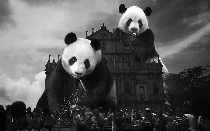 大熊猫雅竹奶妈你管得住我的熊管不住我的心熊人族永不屈服pandaswil