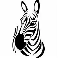 斑马头像图片集_微信头像图片大全