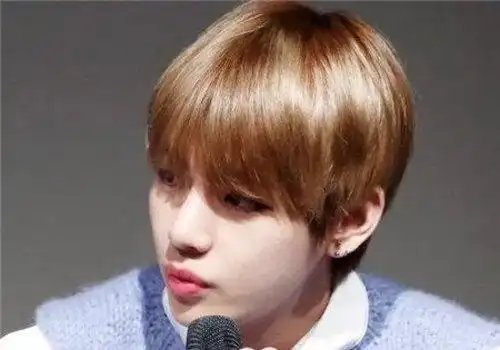 浅褐色男士发型