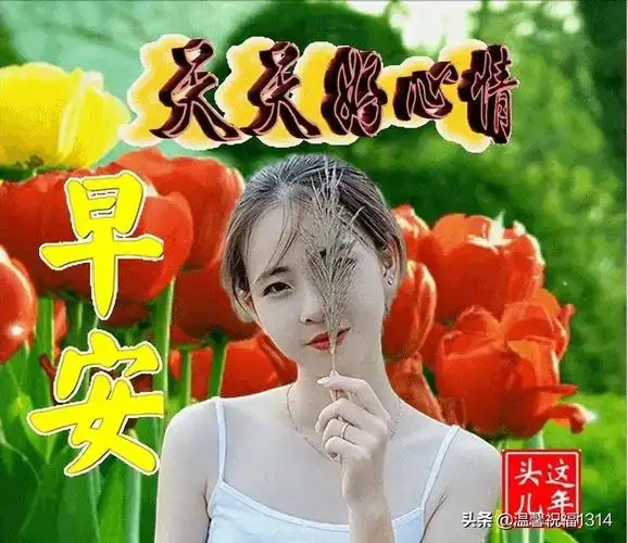 姐们合照句子(早上问候朋友的早上好,阳光温暖的句子,早上好的问候
