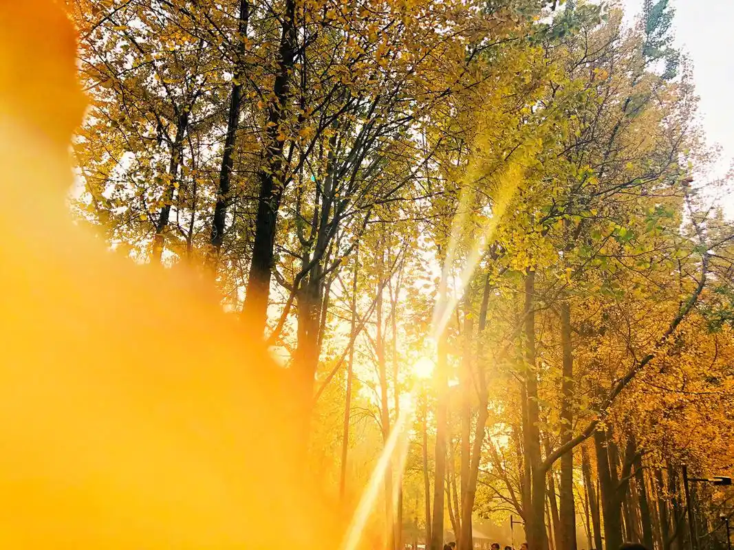 唯美,治愈系图片