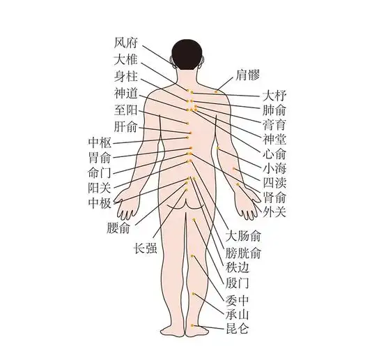 砭石通阳罐背部刮痧温灸按摩热敷等日常护理功能操作教程