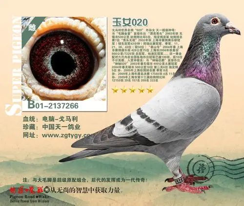 电脑戈马力原舍