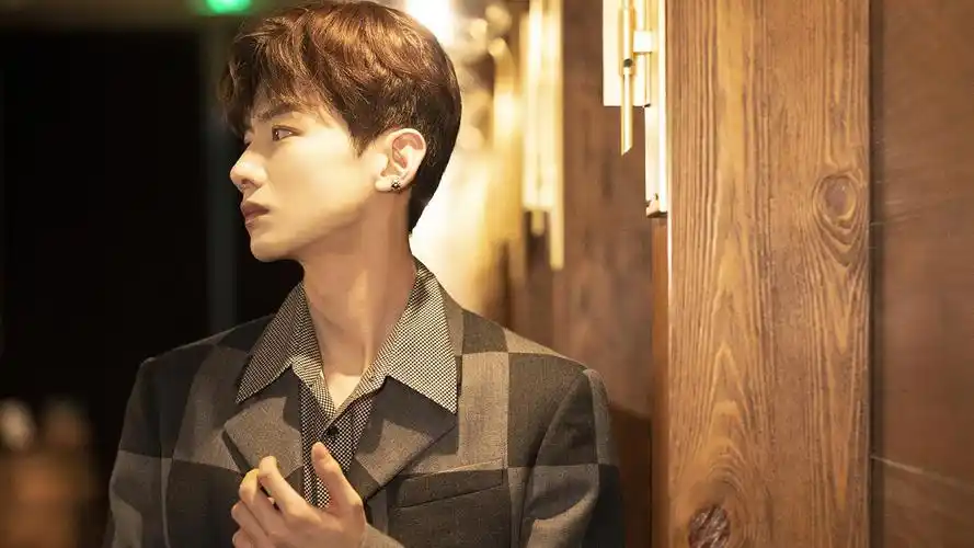 电脑壁纸 明星 大陆明星 白敬亭格纹西装时尚帅气写真